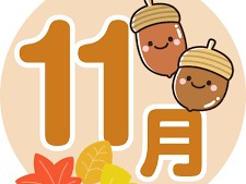 11月定休日のお知らせです☆