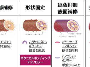 トリートメントリニューアル
