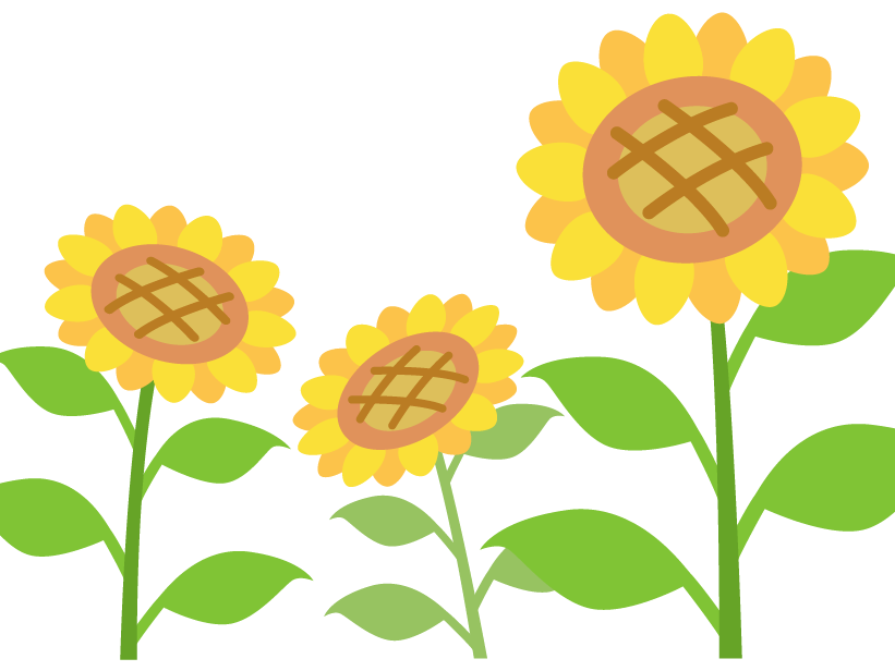 夏のお休みについてのお知らせ☆